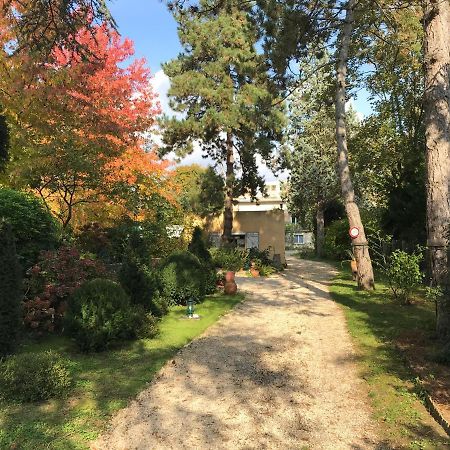 Studio Fond De Jardin 팔레조 외부 사진