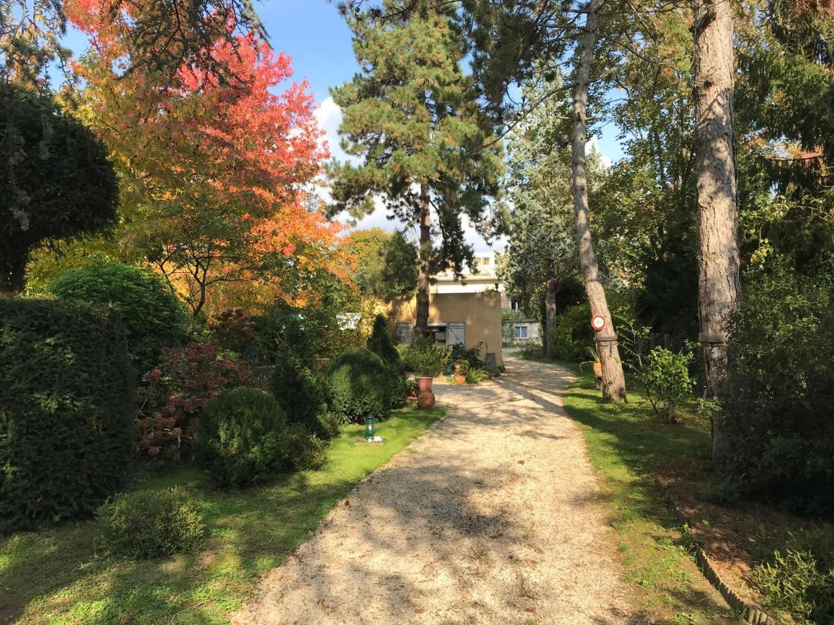 Studio Fond De Jardin 팔레조 외부 사진
